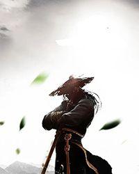 诸天从火影开始签到夜风